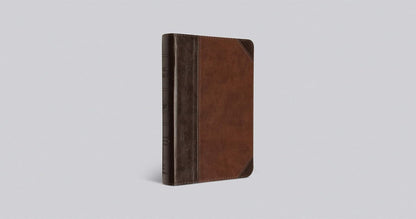 ESV Large Print Compact - Brown/Walnut