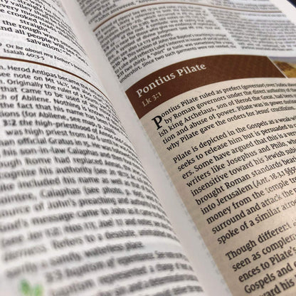 NIV Study Bible, Fully Revised Edition, L/P, Comfort Print, Brown