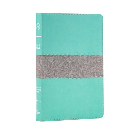 CSB Thinline Reference Bible, Mint/Gray LeatherTouch, Red Letter, Presentation P