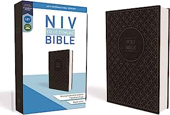 NIV  Bible Value Thinline Im/Lth Gry/Blk Comfort Print