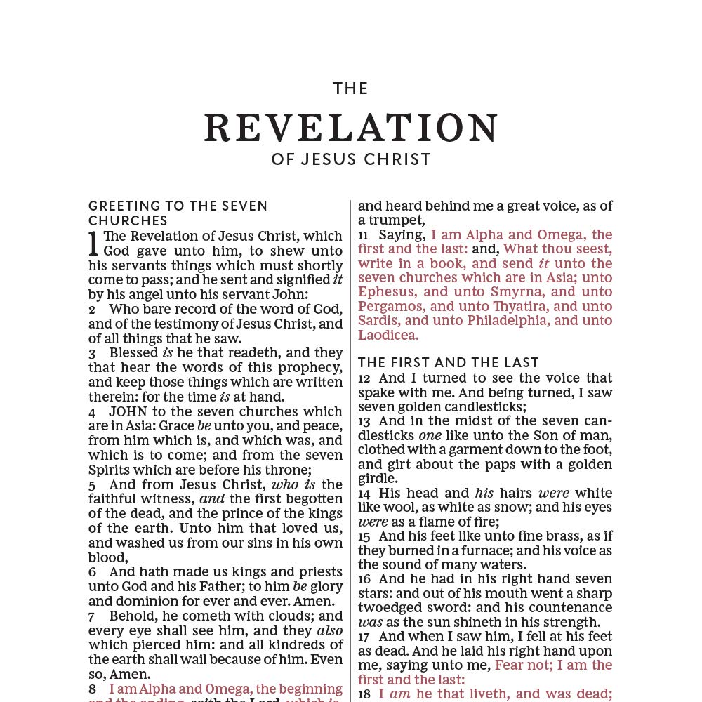 KJV Thinline Bible Red Letter Edition [Large Print, Brown]
