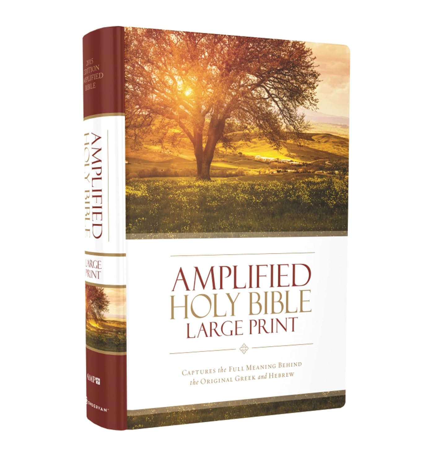 Amplified Bible (H/B)