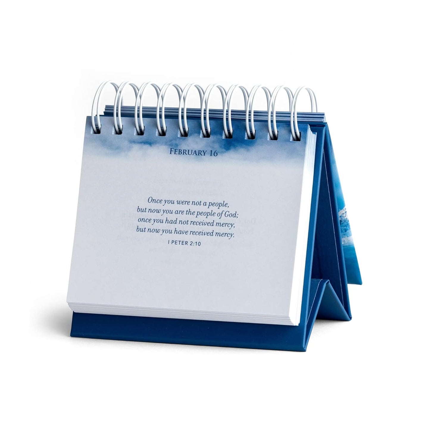 Daybrightener Made For This Momen