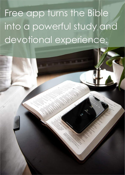 NLT  Bible Thinline Ref Filament Enabled Berry  Im/Lth