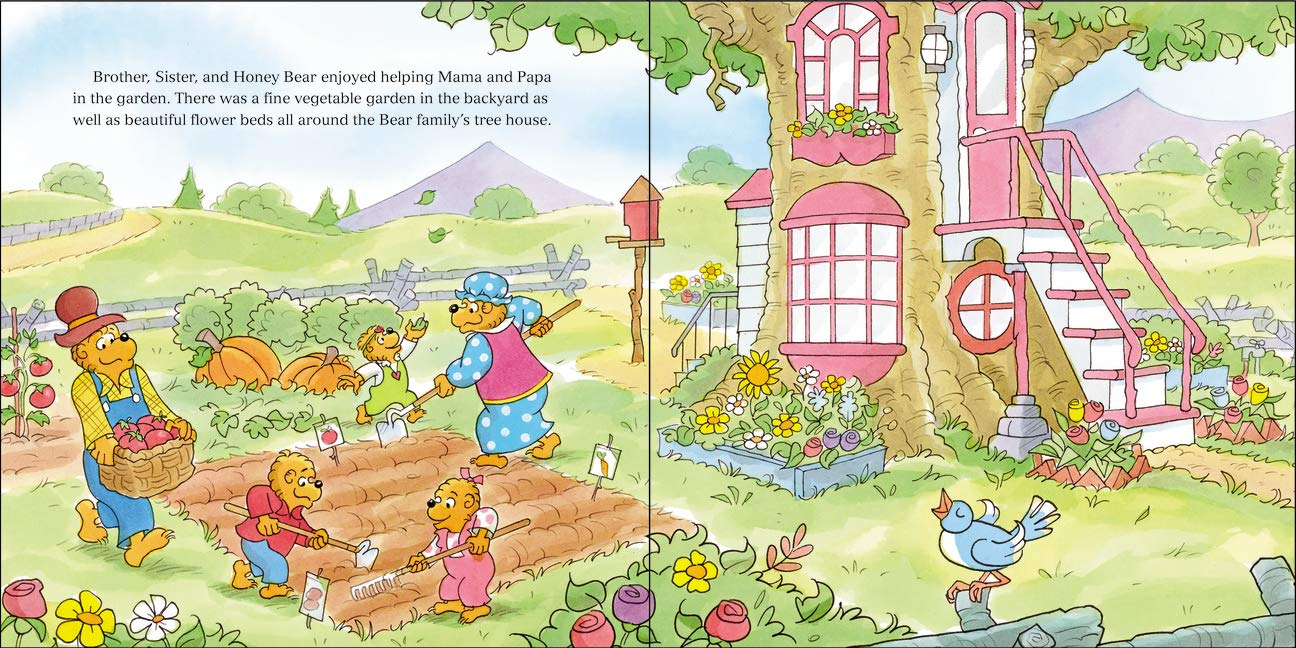 The Berenstain Bears Patience, Please