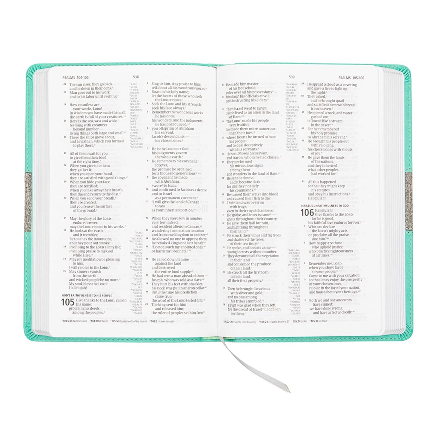 CSB Thinline Reference Bible, Mint/Gray LeatherTouch, Red Letter, Presentation P