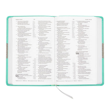 CSB Thinline Reference Bible, Mint/Gray LeatherTouch, Red Letter, Presentation P