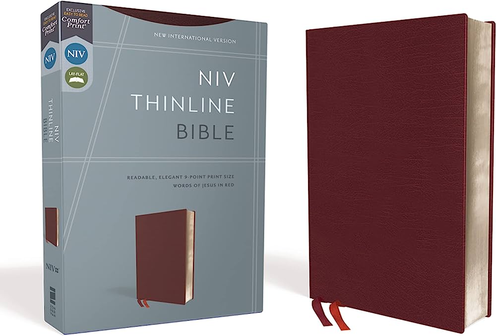 NIV  Bible Thinline Burgundy B/Lth