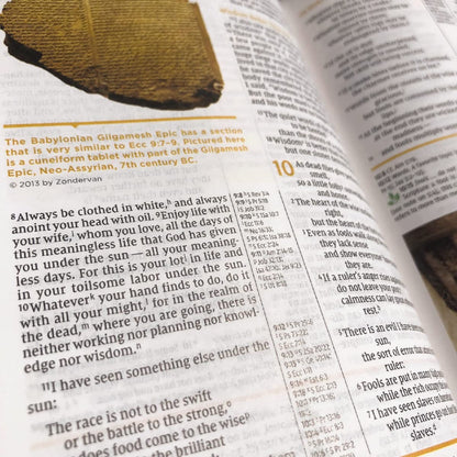 NIV  Study Bible Fully Revised Ed - H/B