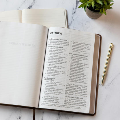 CSB Giant Print reference Bible Brown Leather Touch