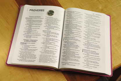 NIV Value Thinline Bible Large Print Pink I/L