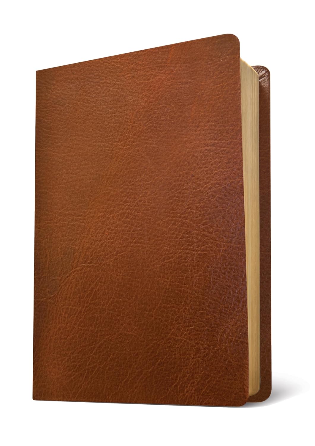 NLT Life Application Study Bible, Third Edition, L/P, Brown, In