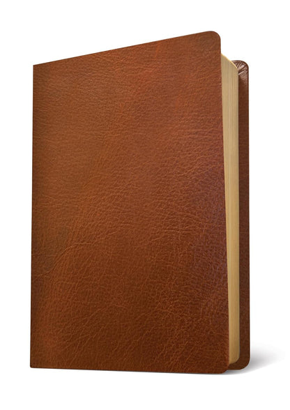 NLT Life Application Study Bible, Third Edition, L/P, Brown, In