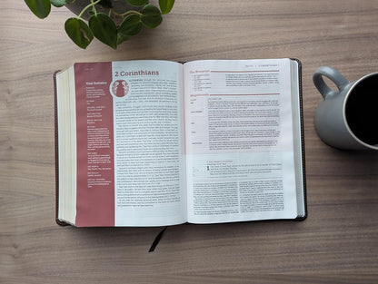NLT Lab Study Bible 3rd Ed Red Letter - Brown (Im/Lth)