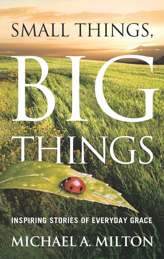 Small Things Big Things