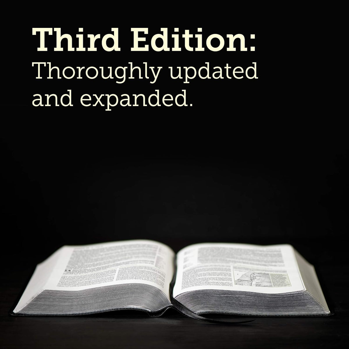 NLT Life Application S/B, Third Edition, L/P (Leatherlike, Brown/ Tan, Indexed)