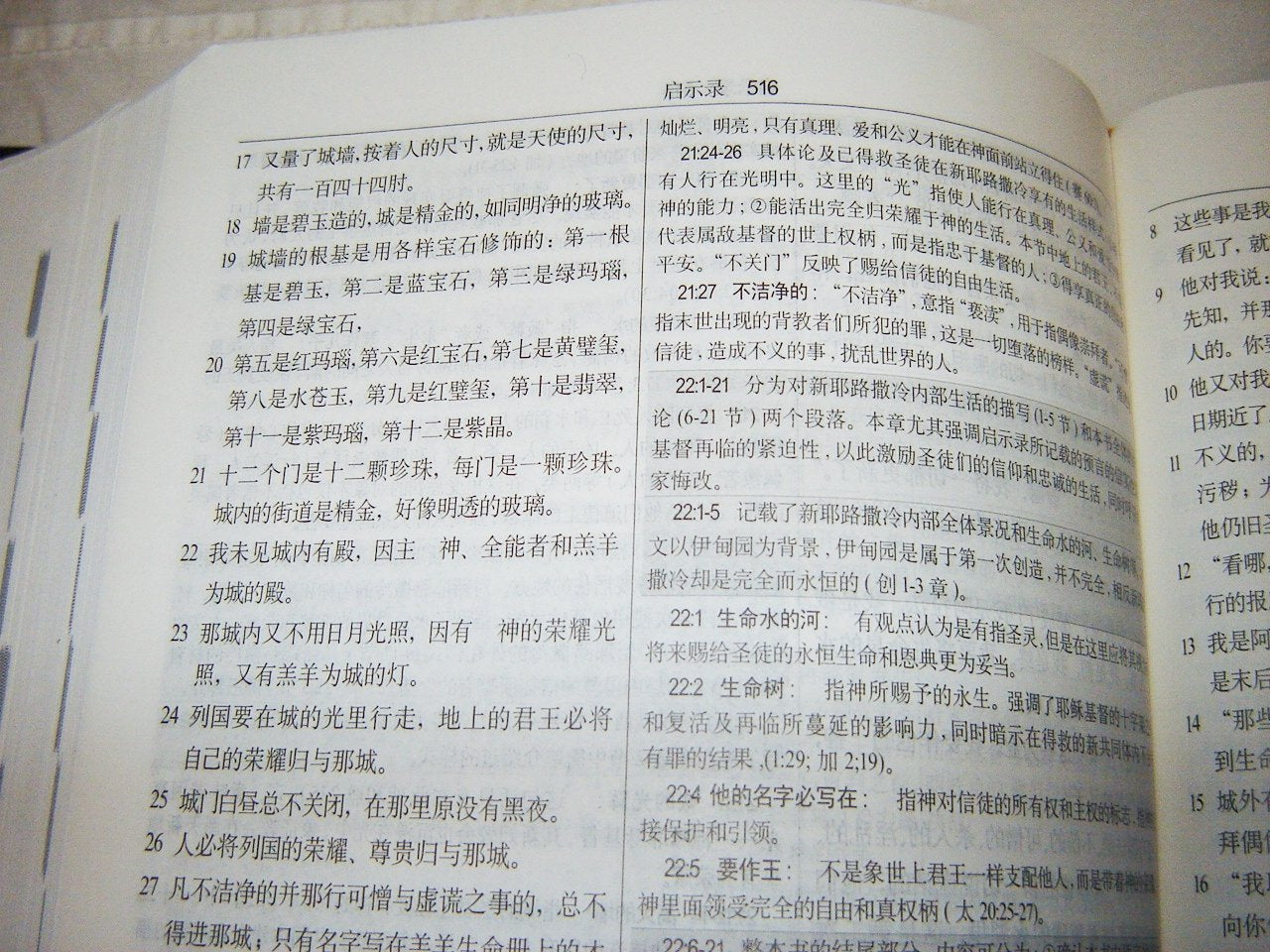 Chinese - Cross Commentary and Concordance Bible