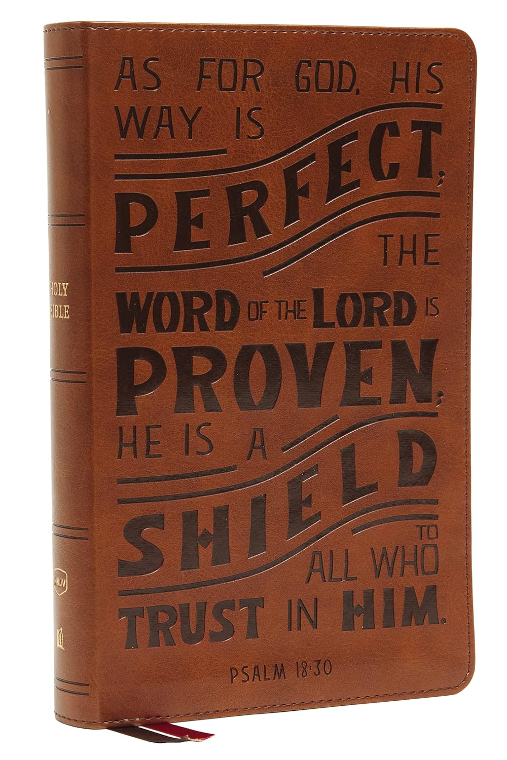 NKJV  Bible Personal Ref Verse Art Cover Tan (Im/Leather)