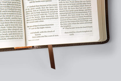 ESV Large Print Compact - Brown/Walnut