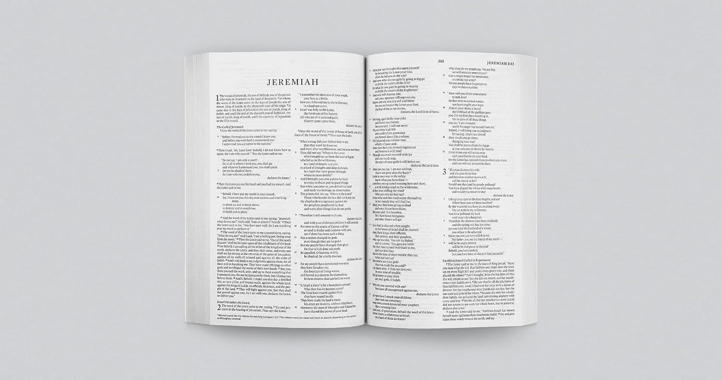 ESV  Bible Economy (P/B) Teal
