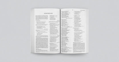 ESV  Bible Economy (P/B) Teal