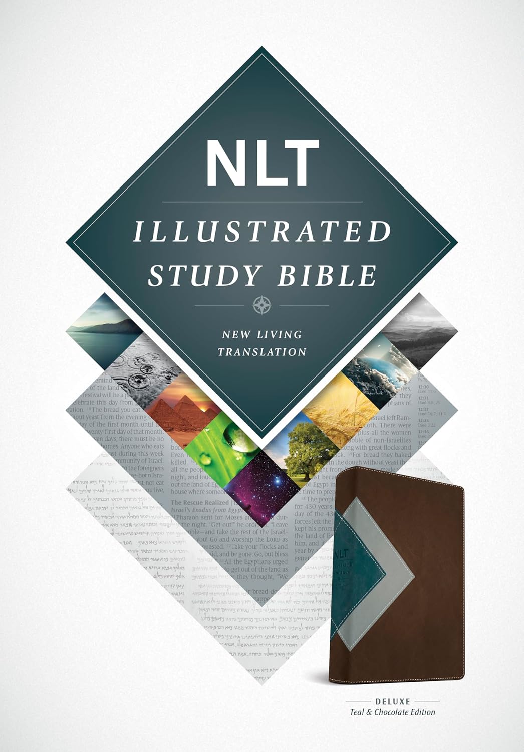 NLT  Bible Illustrated Study -Teal/Chocolate (Deluxe Ed Im/lth)