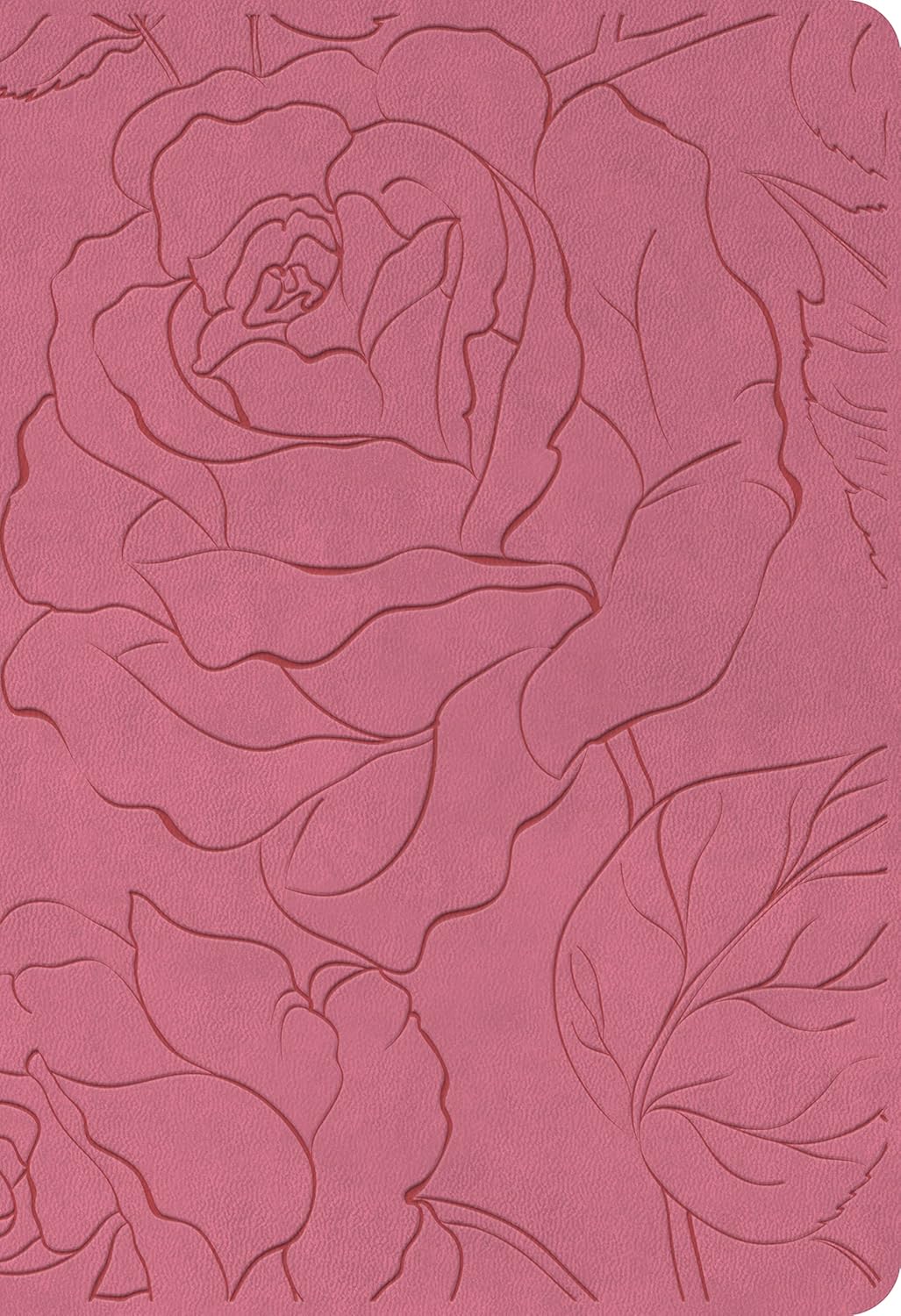 NLT Bible Premium Value Compact Filament Pink Rose Lth/Like