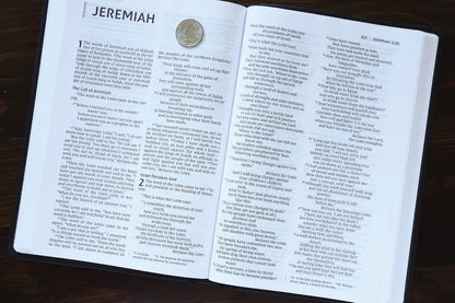 NIV  Bible Value Thinline L/P Char/Blk Im/Lth Comfort Print