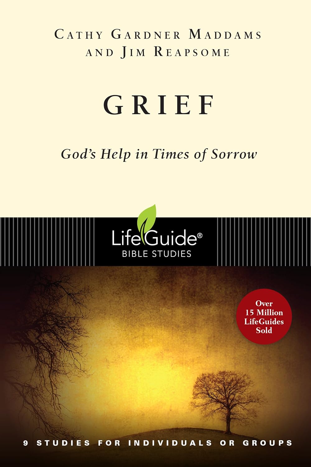 Lifeguide Bible Study - Grief