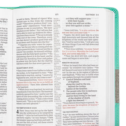 CSB Thinline Reference Bible, Mint/Gray LeatherTouch, Red Letter, Presentation P