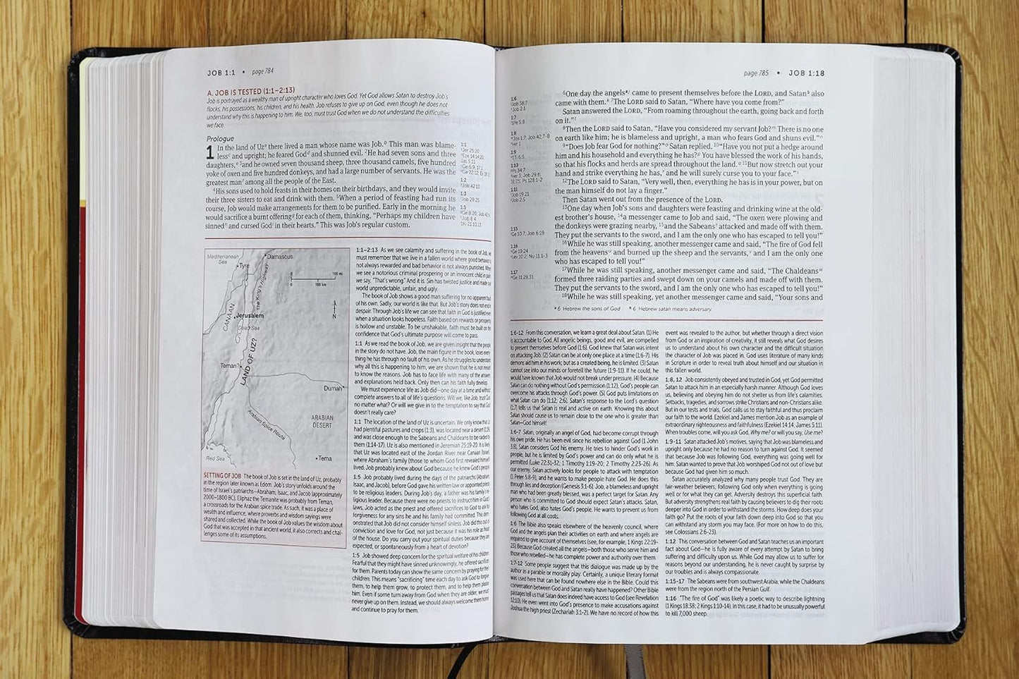 NIV  LAB Study Bible 3rd Edit -  Black Bd/Lth