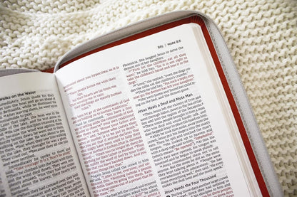 NIV Thinline Bible Zippered Coral I/L