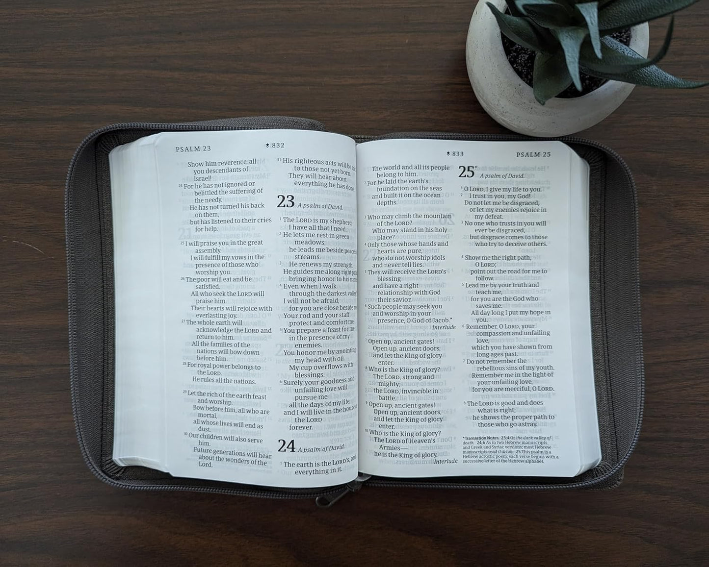 NLT  Bible Compact G/P Zip Filament Grey I/Lth