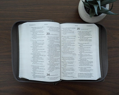 NLT  Bible Compact G/P Zip Filament Grey I/Lth