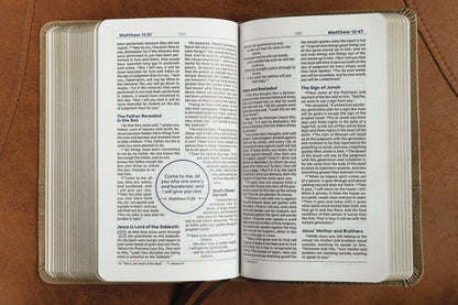 NIV  Bible Teen Study Compact Brown Im/Lth