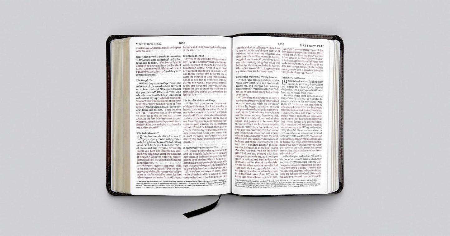ESV Large Print Compact - Brown/Walnut