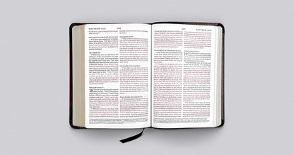 ESV Large Print Compact - Brown/Walnut