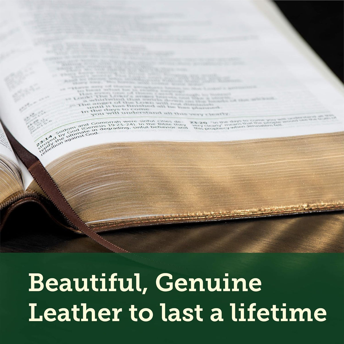NLT Life Application Study Bible, Third Edition, L/P, Brown, In