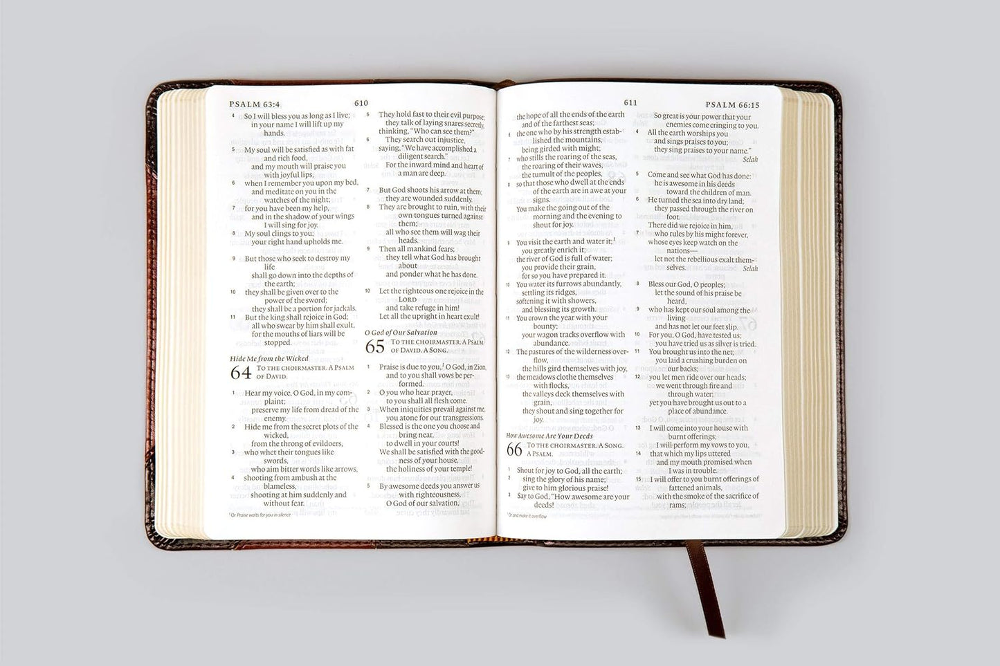 ESV Large Print Compact - Brown/Walnut