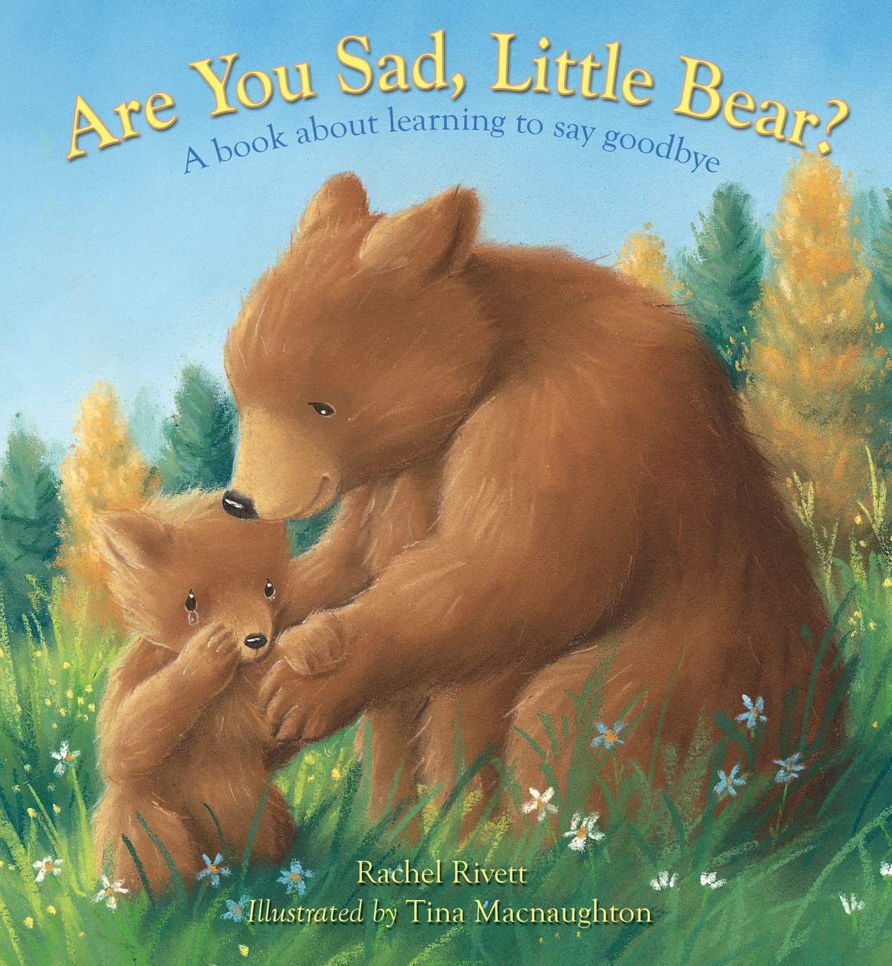 Are You Sad, Little Bear?: A book about learning to say goodbye