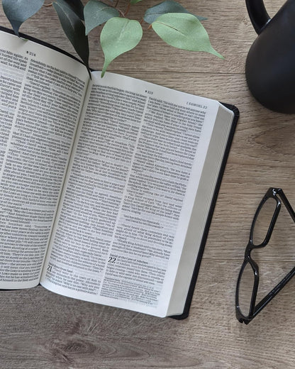 NLT Bible Prem Value Thinline Filament Black Im/Lth