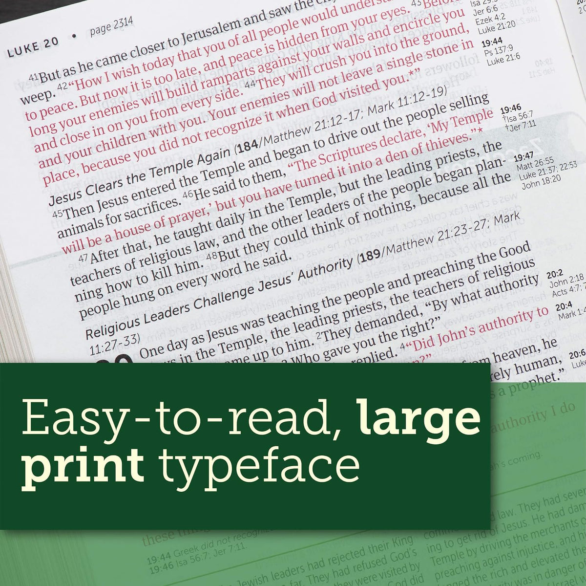 NLT Life Application Study Bible, Third Edition, L/P, Brown, In