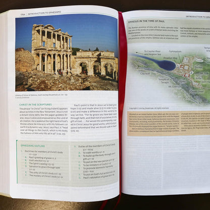 NKJV  Study Bible Full Colour Ed - H/B