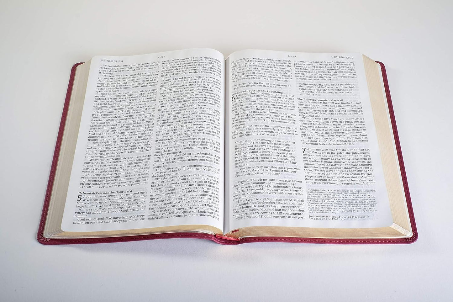 NLT  Bible Thinline Ref Filament Enabled Berry  Im/Lth