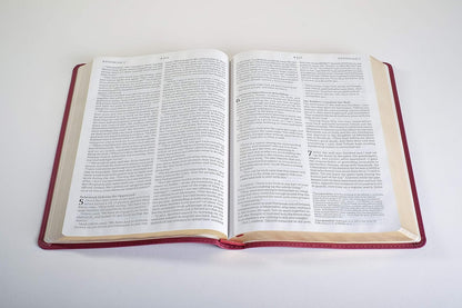 NLT  Bible Thinline Ref Filament Enabled Berry  Im/Lth