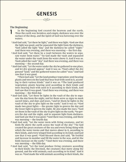 NIV Artisan Collection Bible For Girls Multi-Color