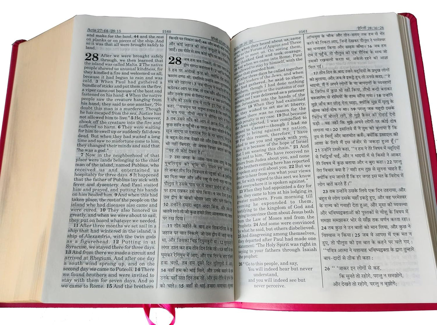 ESV  Hindi / English Bible Lth/Look Gilt Edge