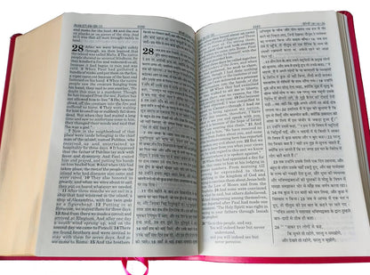 ESV  Hindi / English Bible Lth/Look Gilt Edge