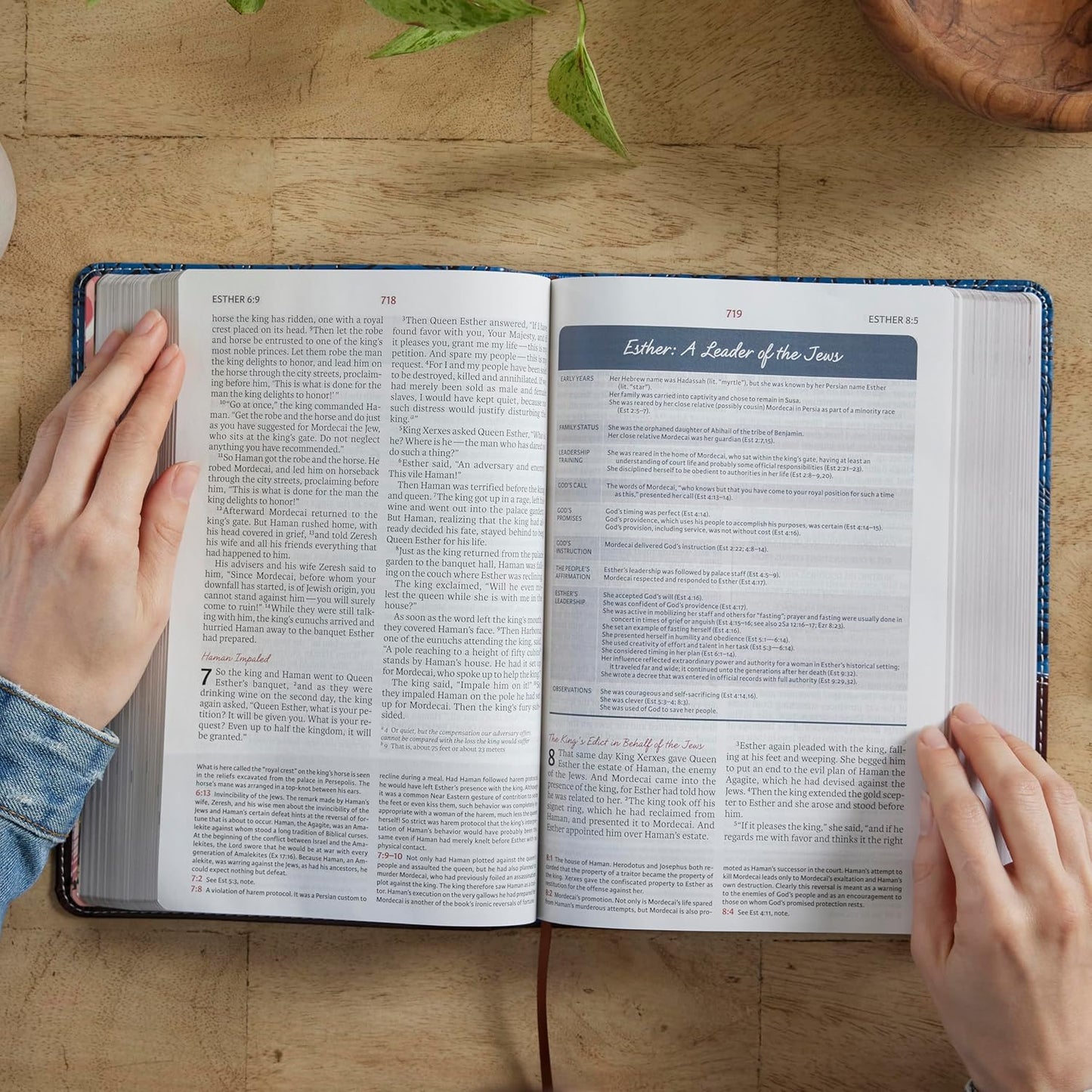 NIV Woman's Study Bible Blue/Brown I/L Full-Colour L/P