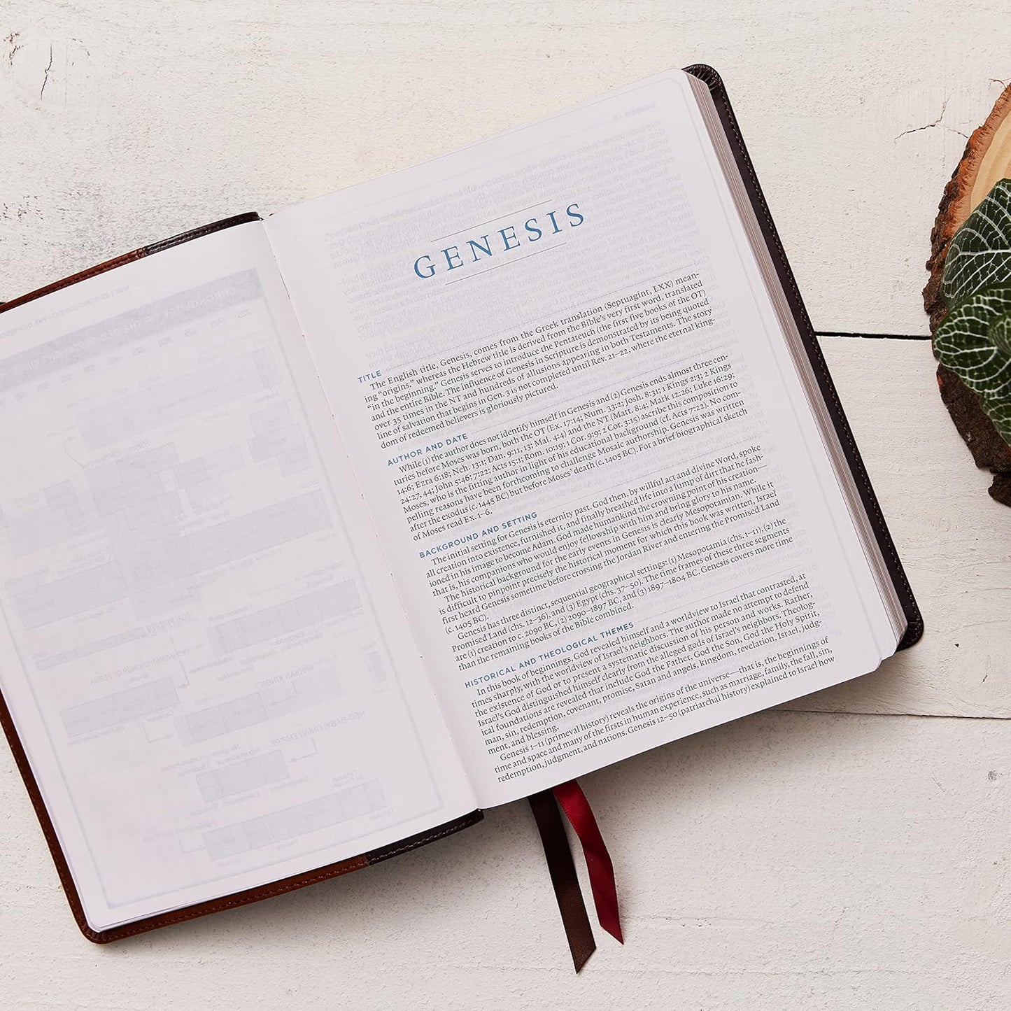 The ESV Macarthur Study Bible